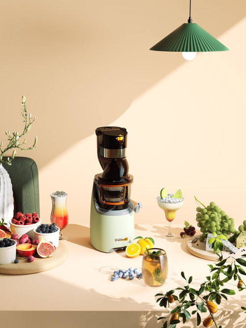 缤纷果味，清新生活 现代简约榨汁机，让每一天都活力满满